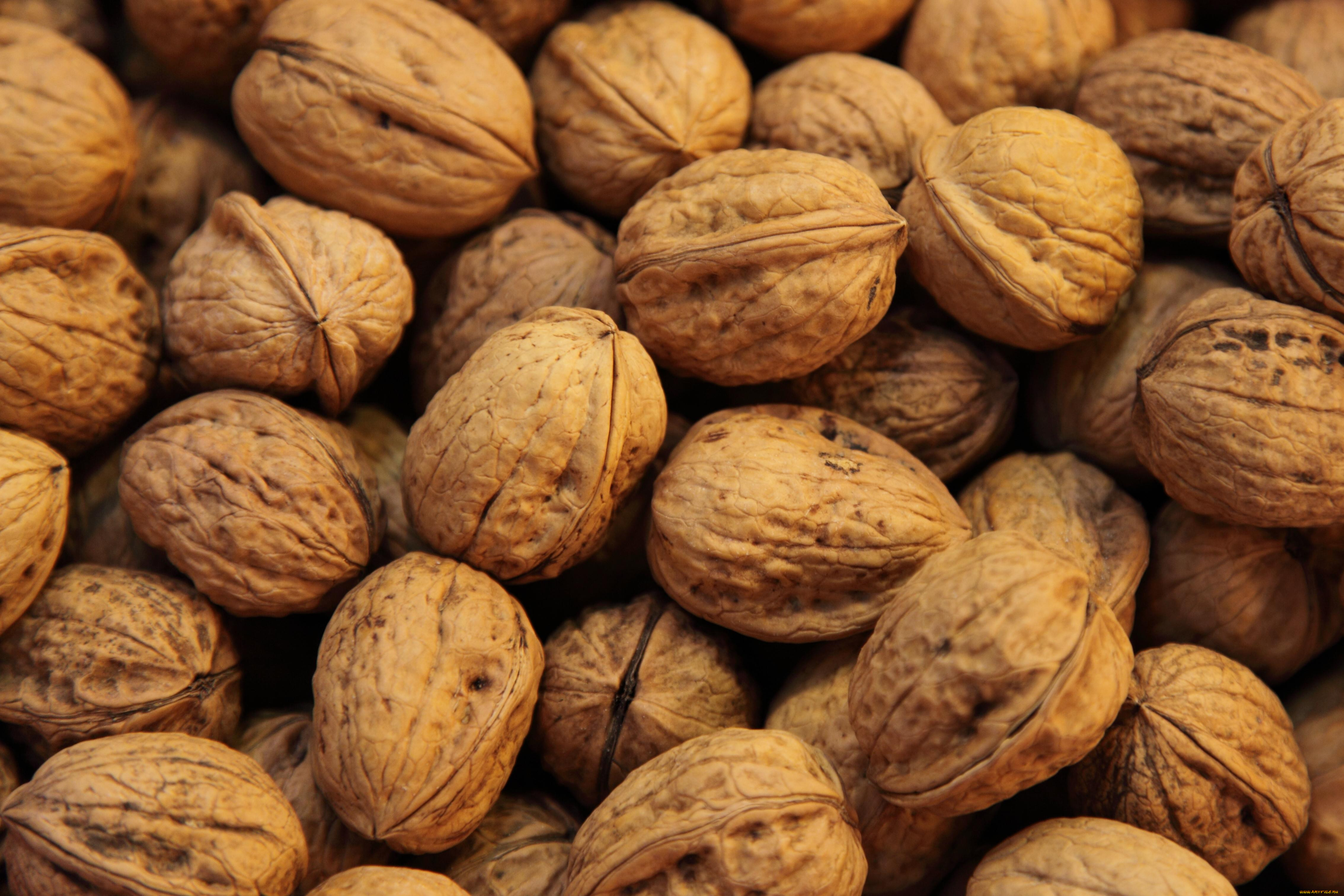 walnuts, , , , , 